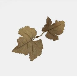 Novritsch - Leaf Camo LC1, Carob