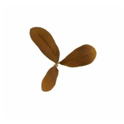 Novritsch - Leaf Camo LC2, Rust