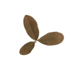 Novritsch - Leaf Camo LC2, Peat