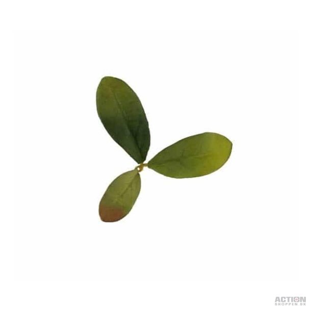 Novritsch - Leaf Camo LC2, Emerald