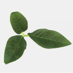 Novritsch - Leaf Camo LC3, PIne