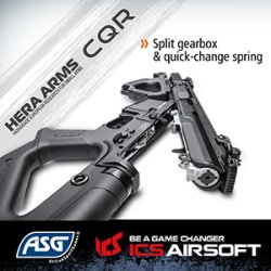 HERA ARMS CQR, Sort