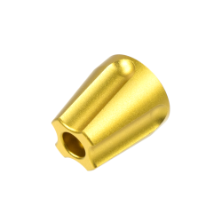 Novritsch - SSG10 Guld Bolt End Cap